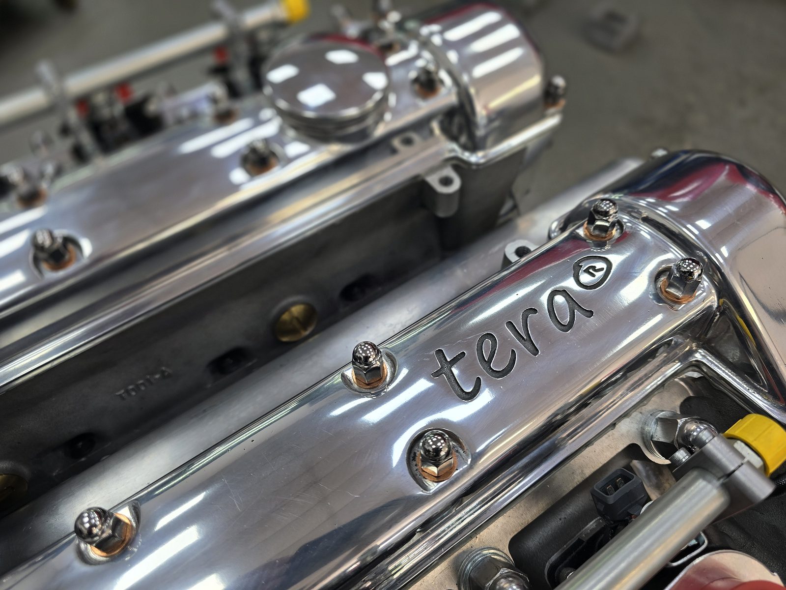 tera® V12 cam covers with engraved tera branding